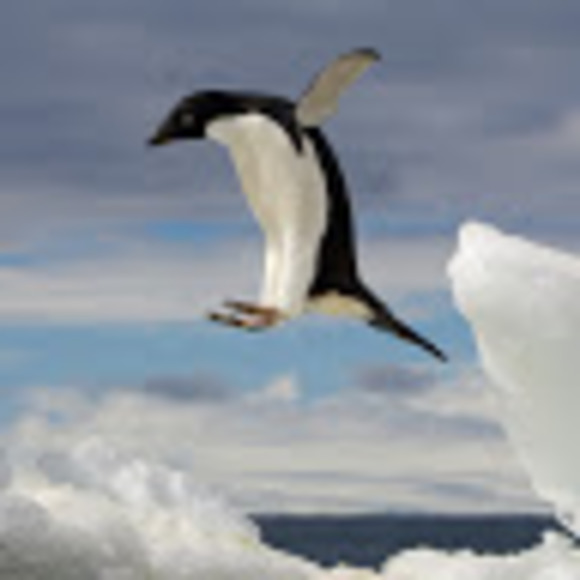 Meet your Posher, Jeremy - Picture 1 of 1